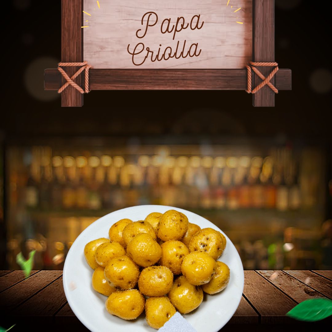 Papa Criolla